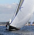 ORCi2 243